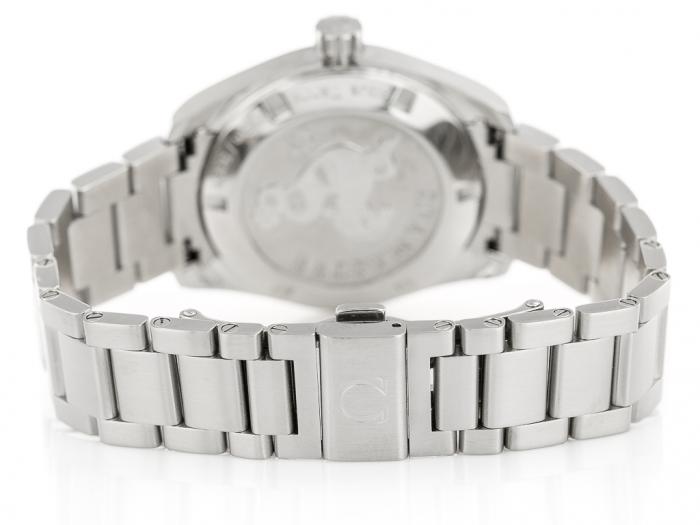 Omega Seamaster Aqua Terra Watch