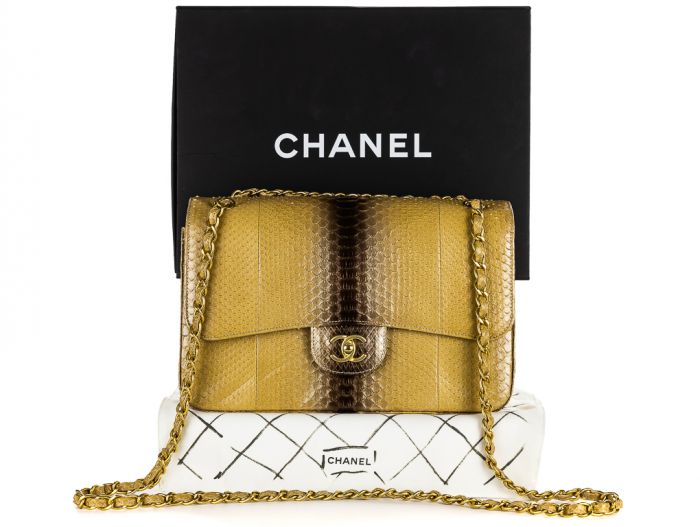 Chanel Degrade Python Handbag - Image 6