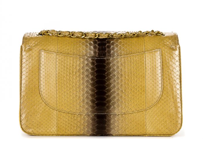 Chanel Degrade Python Handbag - Image 3