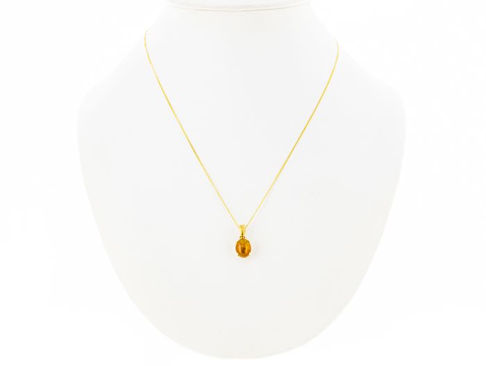 Amber Pendant on Chain