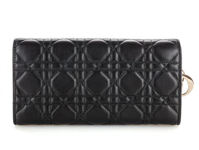Christian Dior Wallet on Chain