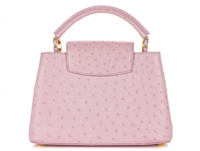 Louis Vuitton Ostrich MM Bag