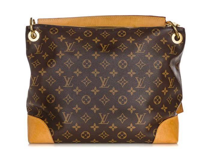 Louis Vuitton Berri MM Bag