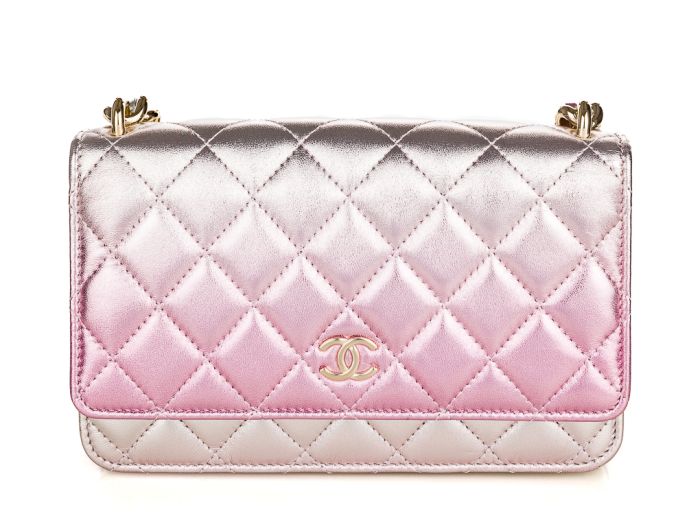 Chanel Wallet on Chain WOC Bag