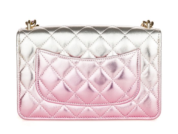 Chanel Wallet on Chain WOC Bag