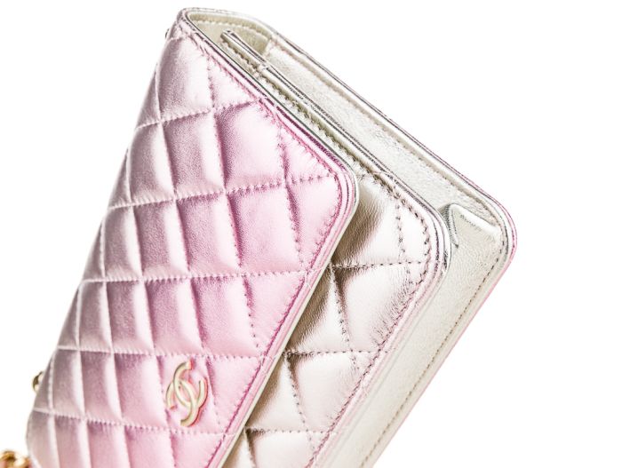 Chanel Wallet on Chain WOC Bag