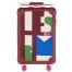 Limited Edition Hermes R.M.S Suitcase