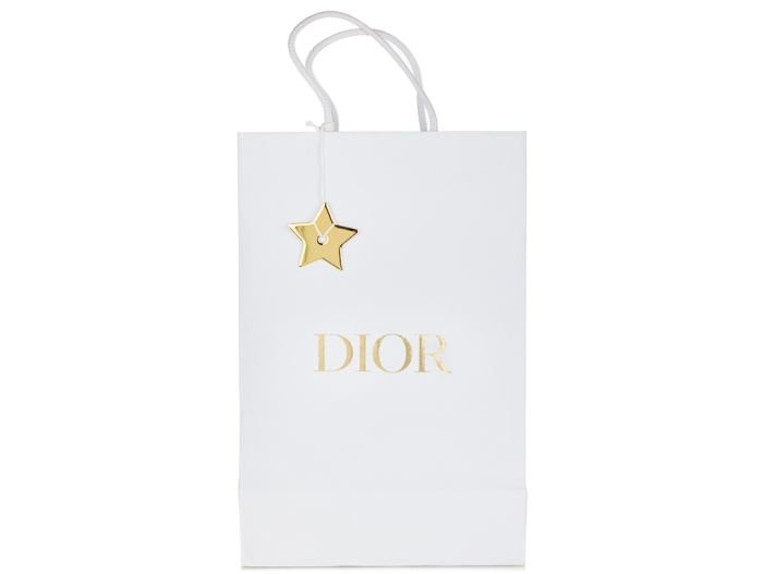 Christian Dior Lady D-Joy Micro Bag (1)