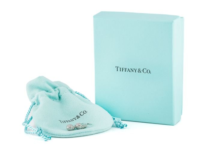 Tiffany & Co Elsa Peretti Diamond Teardrop Earrings (3)