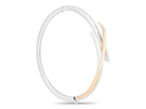 Two Tone Bangle (2)