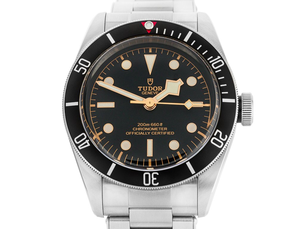 Tudor Black Bay 41mm Watch (4)
