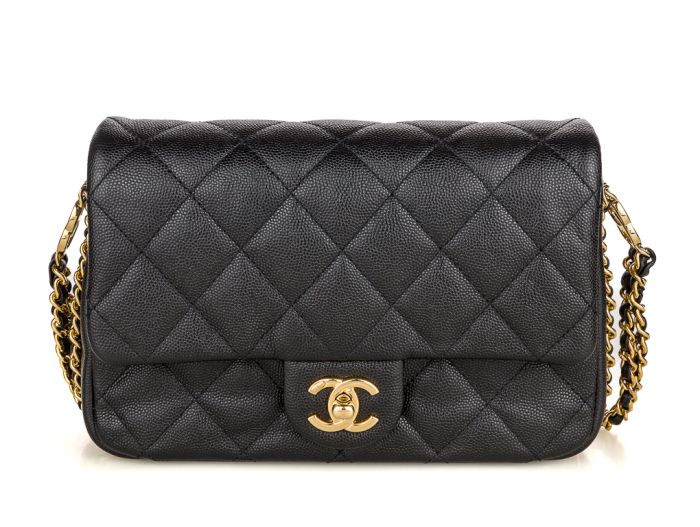 Chanel 23C CC Coco You Flap Bag