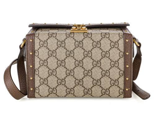 Gucci Brown Trunk Flap Lock GG Coated Canvas Bag (3)