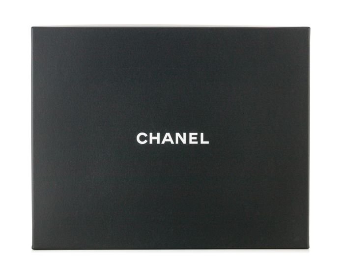 Chanel Medallion & Pearl Necklace (4)