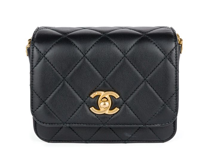 Chanel Quilted Lambskin Multiple Chain Flap Bag (2)