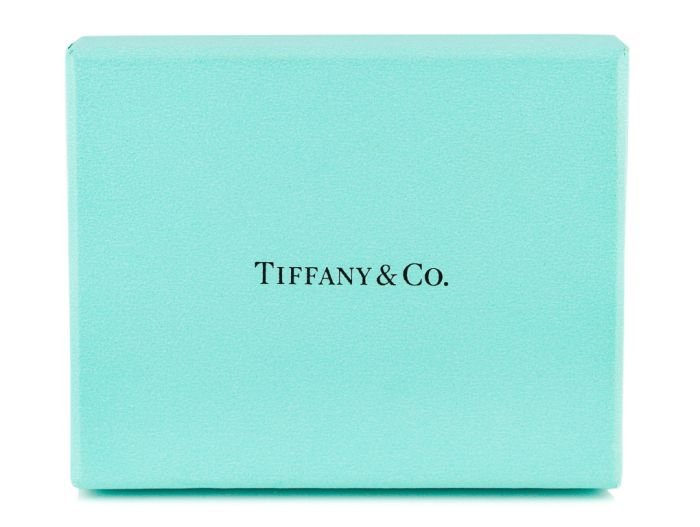 Tiffany & Co Charm Bracelet (3)