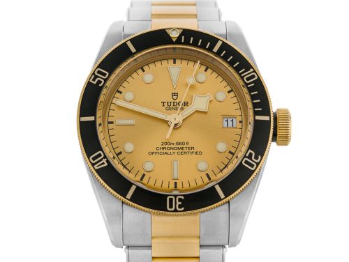 Tudor Black Bay S&G 41mm Watch
